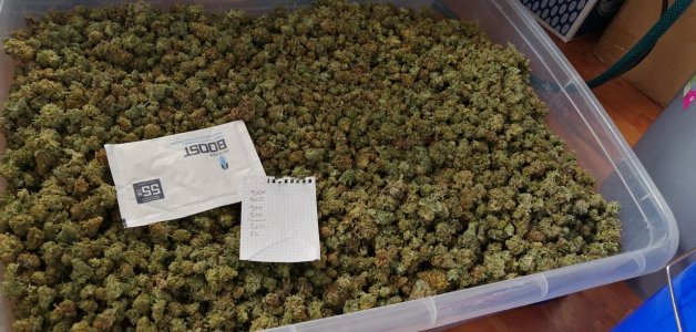 IMG_20220305_190923_007.jpg IMG_20220305_190923_007.jpg