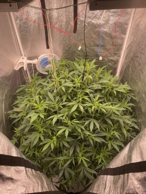 photo_2022-03-07_23-58-53.jpg photo_2022-03-07_23-58-53.jpg