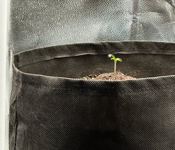 IMG_3640.jpeg IMG_3640.jpeg