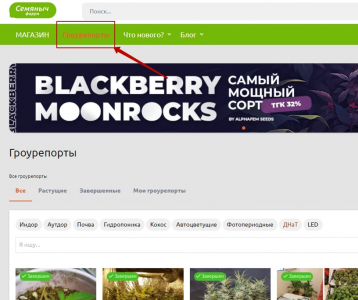 1717241802510.png 1717241802510.png