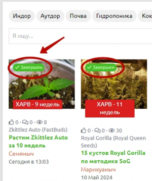 1717242413277.png 1717242413277.png