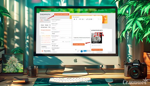 1717242506360.jpeg 1717242506360.jpeg