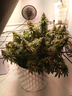 2024-06-07 142018.jpg