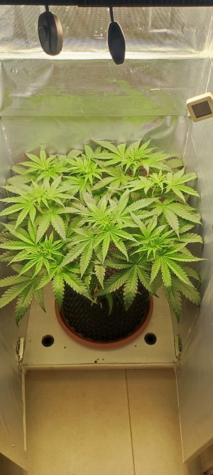 1000010400.jpg 1000010400.jpg