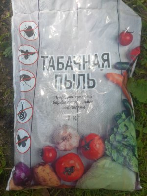 IMG_20240613_150033_984.jpg IMG_20240613_150033_984.jpg