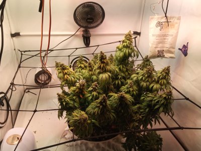 2024-06-20 165519.jpg