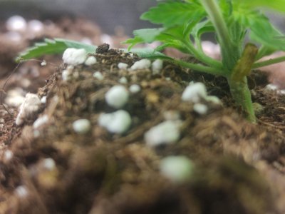 cleaned_IMG20240315200527.jpg cleaned_IMG20240315200527.jpg