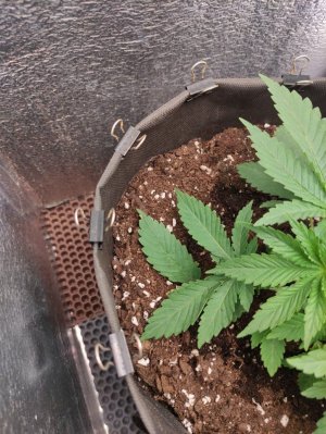 cleaned_Screenshot2024-03-19-12-45-09-506com.miui.gallery.jpg cleaned_Screenshot2024-03-19-12-45-09-506com.miui.gallery.jpg