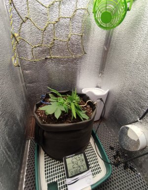 cleaned_Screenshot2024-03-19-12-45-23-191com.miui.gallery.jpg cleaned_Screenshot2024-03-19-12-45-23-191com.miui.gallery.jpg