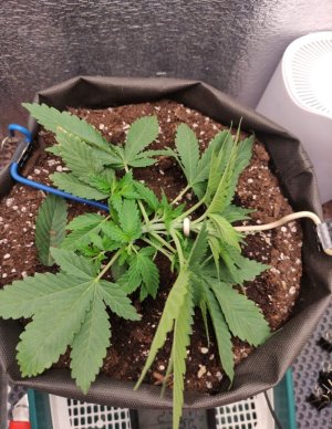 cleaned_Screenshot2024-03-19-13-03-59-297com.miui.gallery.jpg cleaned_Screenshot2024-03-19-13-03-59-297com.miui.gallery.jpg