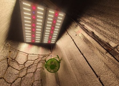 cleaned_Screenshot2024-03-19-12-45-28-521com.miui.gallery.jpg cleaned_Screenshot2024-03-19-12-45-28-521com.miui.gallery.jpg