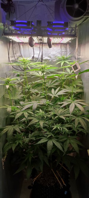 1000010547.jpg 1000010547.jpg