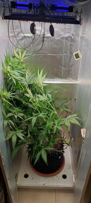 1000010550.jpg 1000010550.jpg