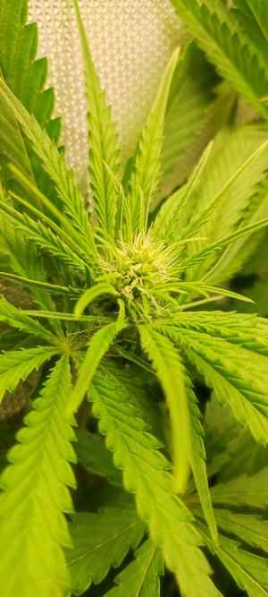 1000010553.jpg 1000010553.jpg