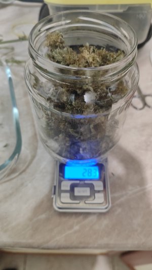 1000021004.jpg 1000021004.jpg