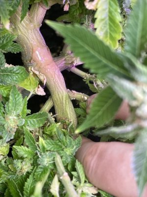 IMG_6173.jpeg IMG_6173.jpeg