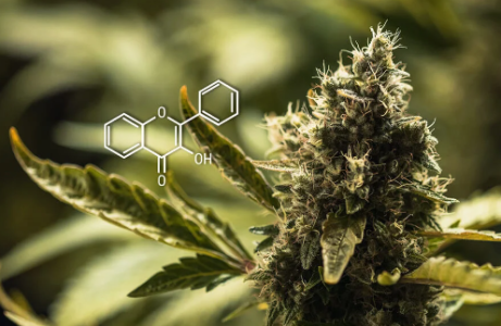 1720800368547.png 1720800368547.png