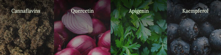 1720800411160.png 1720800411160.png