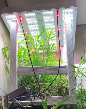 1721362955274.png 1721362955274.png