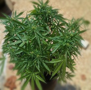 1231223qqqqqqqqqqqqqqqqq.jpg 1231223qqqqqqqqqqqqqqqqq.jpg