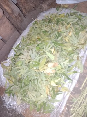 IMG_20240923_221812.jpg IMG_20240923_221812.jpg