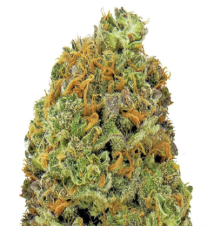 1727858525557.png 1727858525557.png