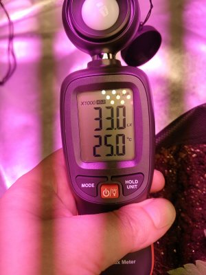 Блядский Свет.jpg Блядский Свет.jpg