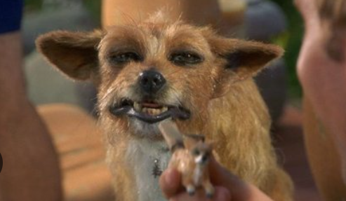 1728412466820.png 1728412466820.png