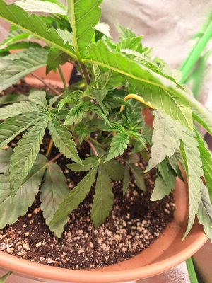 photo_2024-10-10_10-51-44 (3).jpg