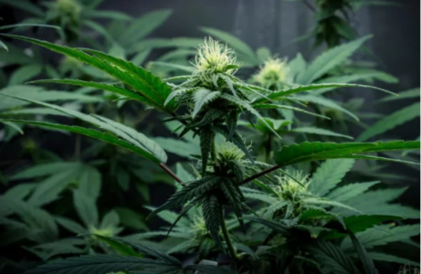 1728832838335.png 1728832838335.png