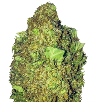 1728842736241.png 1728842736241.png