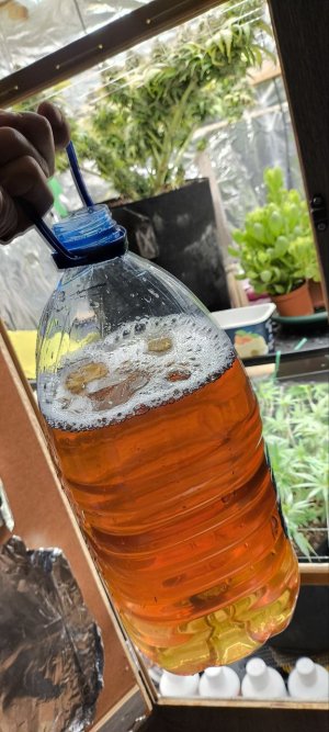 5240195237874359867 (1).jpg