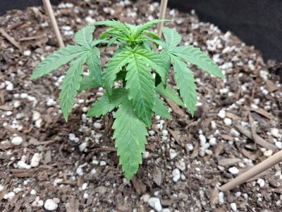 WhatsApp 2024-10-27 в 20.25.26_33f49e4f.jpg